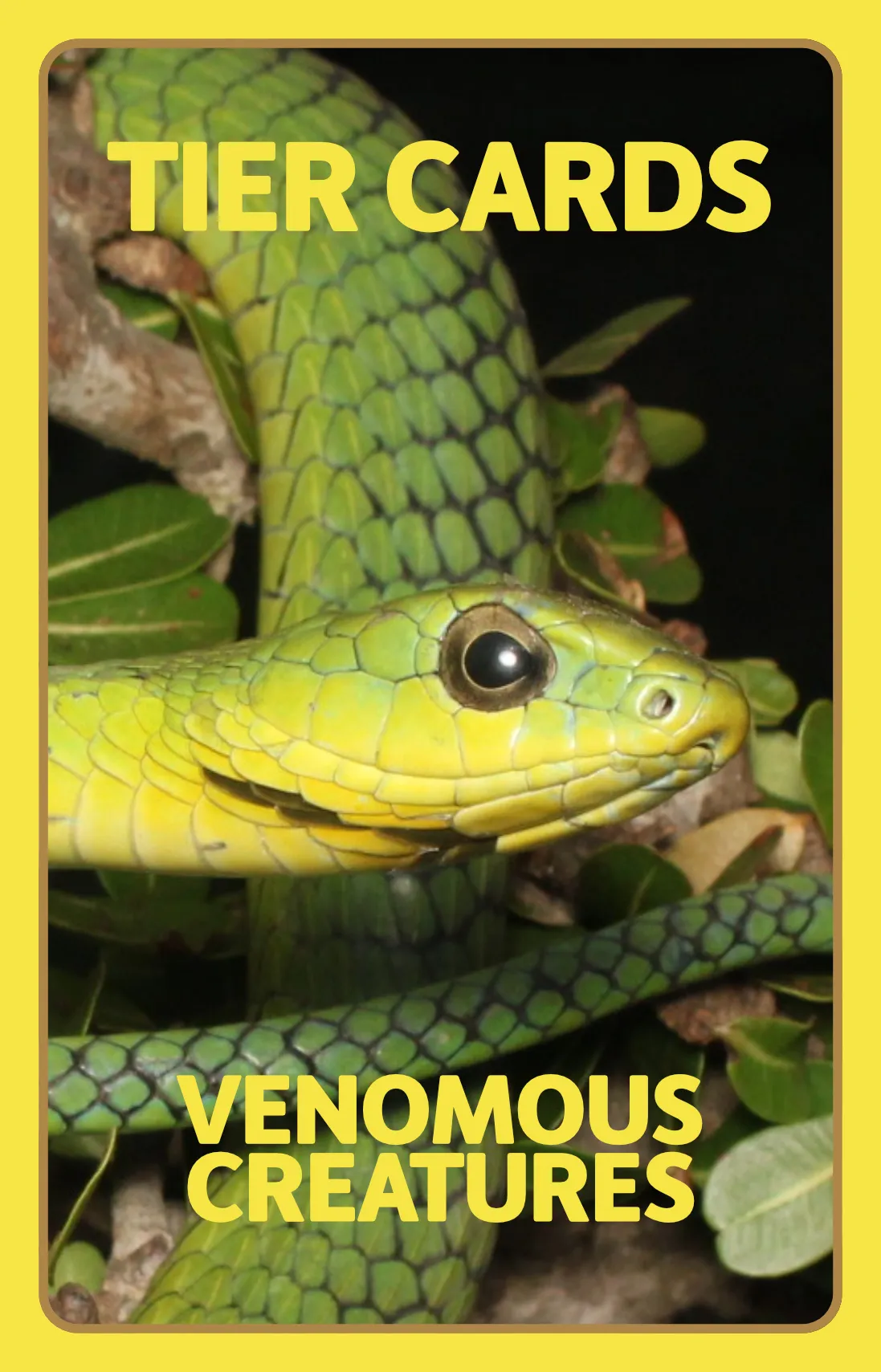 Venomous Creatures deck cover